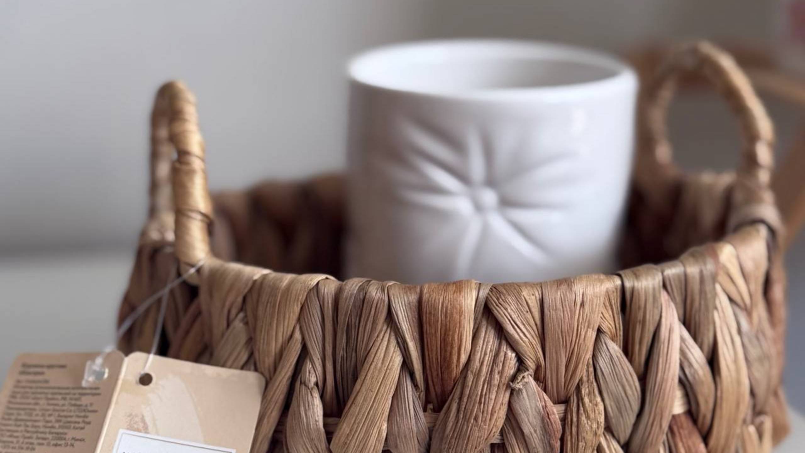 💚 БЕГОМ В ФИКС ПРАЙС! 😻КУПИЛА ДВА🪴Моя коллекция комнатных растений и обзор полочек Фикс Прайс смотреть онлайн