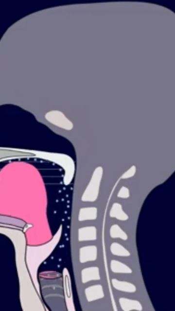 Освой французский шик: секрет звука y! 🇫🇷