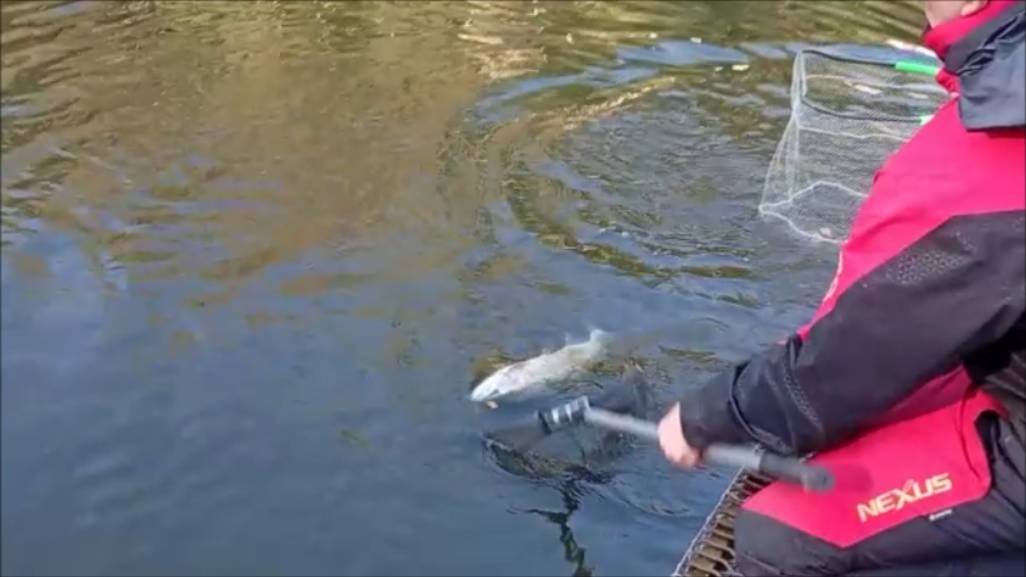 Клёвое место Лосиный остров