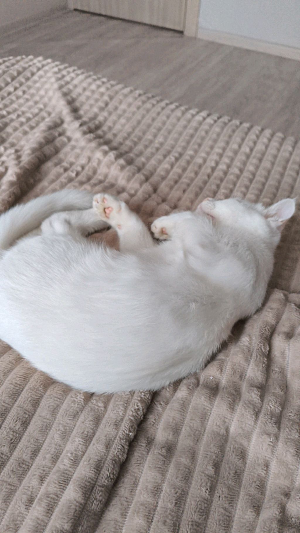 разговариваем и отвечаю на вопросы!