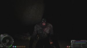 S.T.A.L.K.E.R - NS OGSR 2023 Сидорович и компания #1