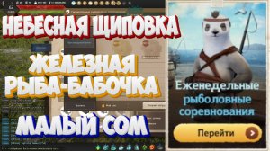 БДО. Небесная щиповка, Железная рыба-бабочка, Малый сом. Рыболовные соревнования. 08-13.09.2025.