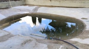 Фильтр для пруда своими руками. Пруд с карпами