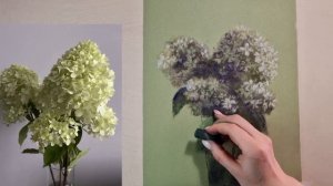 Как нарисовать гортензию сухой пастелью