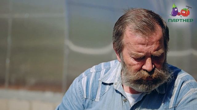 ЗЕЛЕНЬ – ГЛАВНОЕ В ВАШЕМ ОГОРОДЕ. СЕЕМ ПЕТРУШКУ С "ПАР? смотреть онлайн