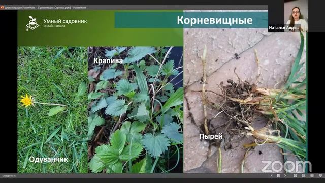 Сорняки – проблема или недооценённый ресурс наших уч? смотреть онлайн