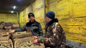 БИЗНЕС НА КАРТОФЕЛЕ | РЕНТАБЕЛЬНОСТЬ. ИНТЕРВЬЮ С ФЕРМЕ