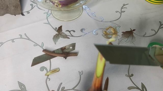Зимняя прививка винограда, 2 способа советы начинающи? смотреть онлайн
