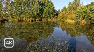 SUP прогулка. Озеро Сестрорецкий Разлив. Санкт-Петербург.