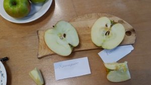 🍎ДЕГУСТАЦИЯ СОРТОВ ЯБЛОНИ🍎 6 01 24