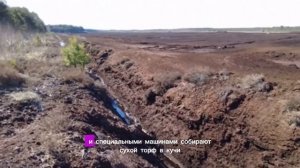 Виды торфа / как выбрать торф