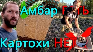 В этом году действительно ПОТРЯСАЮЩИЙ УРОЖАЙ картошки. Теперь у нас есть амбар. Очень много сока.