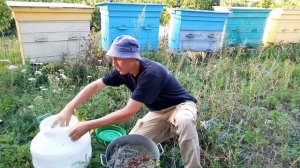 КАС 81 приготовление и борьба с клещом Варроа