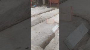 Когда укрывать клубнику Сибири на зиму