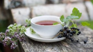 Вкусный чай из веток  ✿ Польза чая из плодовых веточек