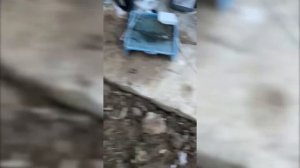 Трещины отмостки фундамента и стен дома? Укрепление г?