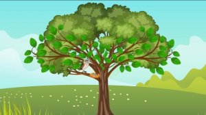 Деревья для детей | Части дерева для детей | Дерево и ег