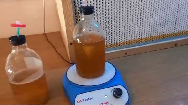 Жидкий Мицелий Ежовик Гребенчатый / Кордицепс Милитар