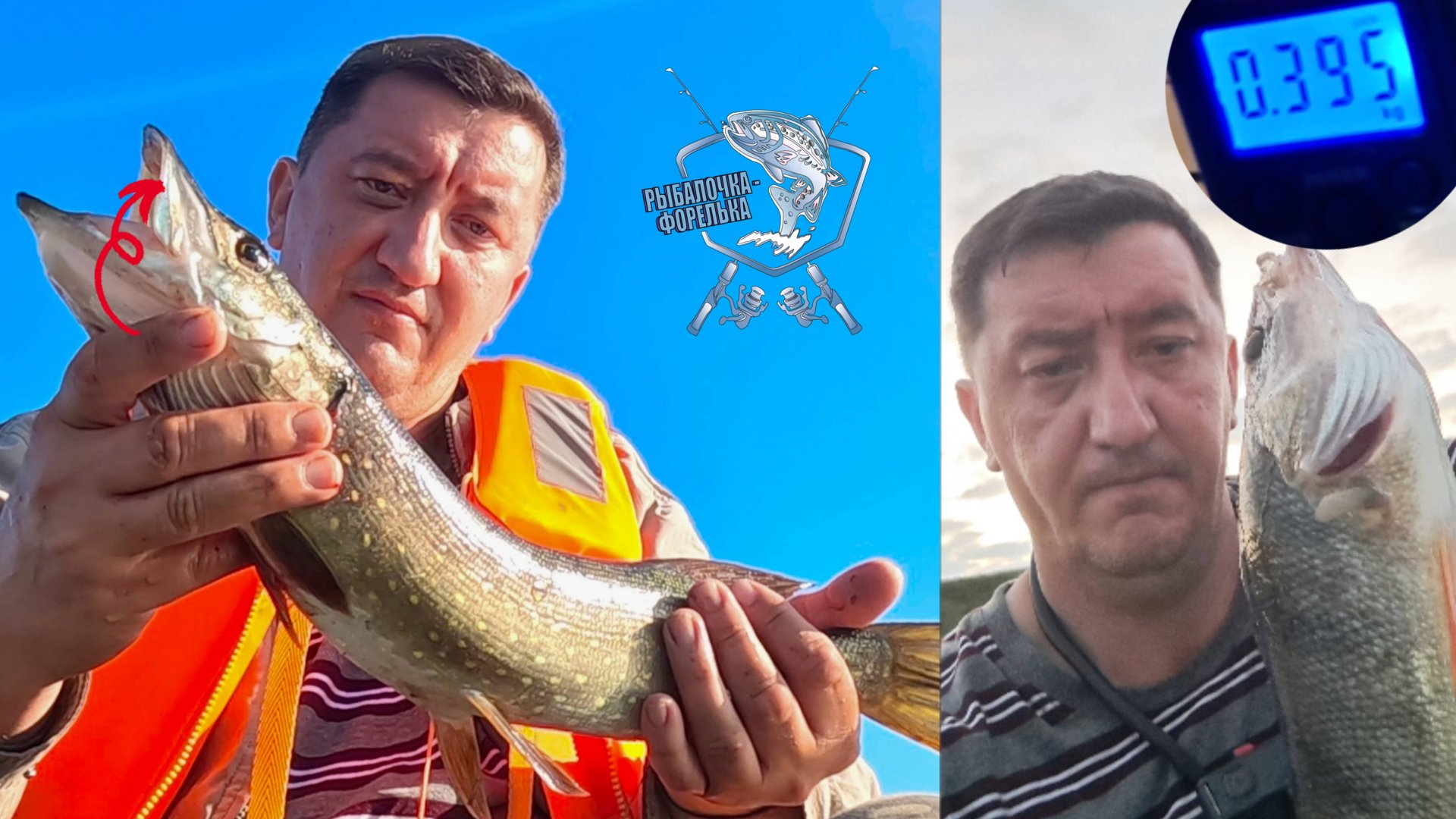 В Поисках зубастых приключений. 06.09.25 смотреть онлайн