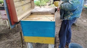 Спасаем пчел,Подкормка пчел весной сахарным сиропом,Щ