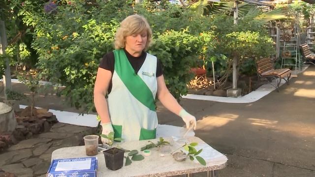Программа "Наш Сад" №70 смотреть онлайн