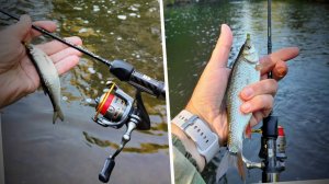 Мормышинг на кануне осени 2025