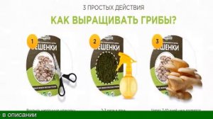 Семена Грибов Для Выращивания Купить