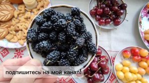 #Ягоды на юге #России. Ягодный рай. Где купить, #цена. #Ви