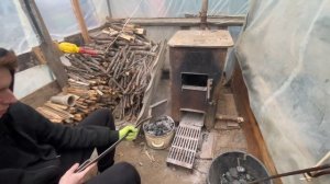 ВЫРАЩИВАЕМ КОНОПЛЮ В ТЕПЛИЦЕ