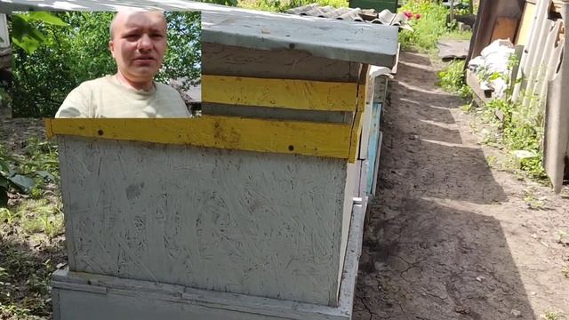 Вывод семьи из роевого состояния. Метод Демари не всег смотреть онлайн