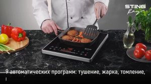 Электрическая индукционная плитка STINGRAY ST-HP3502B