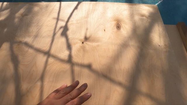 РОЕВНЯ ДЛЯ ПЧЁЛ СВОИМИ РУКАМИ ПРОСТО И ДЁШЕВО