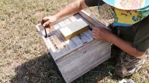 Пчеловодство/ Увеличил  новую пасеку с 3 до 9 ульев/ Пас?