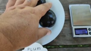 Слива диплоїдна сорт Фріар (plum Friar). Дегустація та огля?