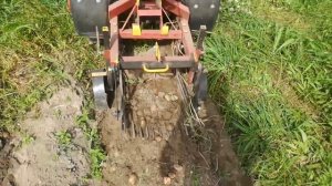 Мотоблок МТЗ 05 и работа картофелекопалки