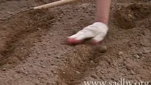 Как сделать французский огород своими руками | Просто?