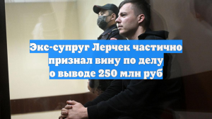 Экс-супруг Лерчек частично признал вину по делу о выводе 250 млн руб