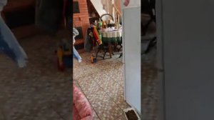 Обработка сада бордоской смесью Медный купорос и изве