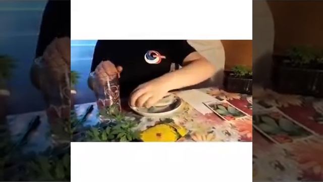 Подготовка семян кабачков к посадке