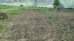 Рубит результат, посев сидерата, опрыскивание картофе