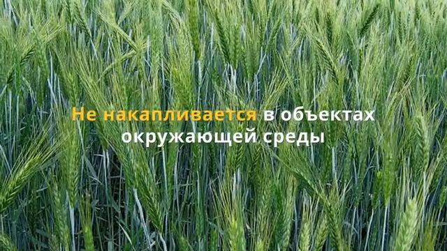 Гербицид Глифовит 🍂, описание препарата 🍂 смотреть онлайн