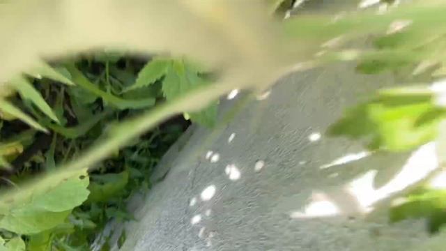 Мёд в банках смотреть онлайн