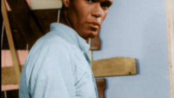 💥ПОПУЛЯРНЫЙ БОЕВИК ПЧЕЛОВОД СО СТЭТХЭМОМ 2024 ПЧЕЛОВО?