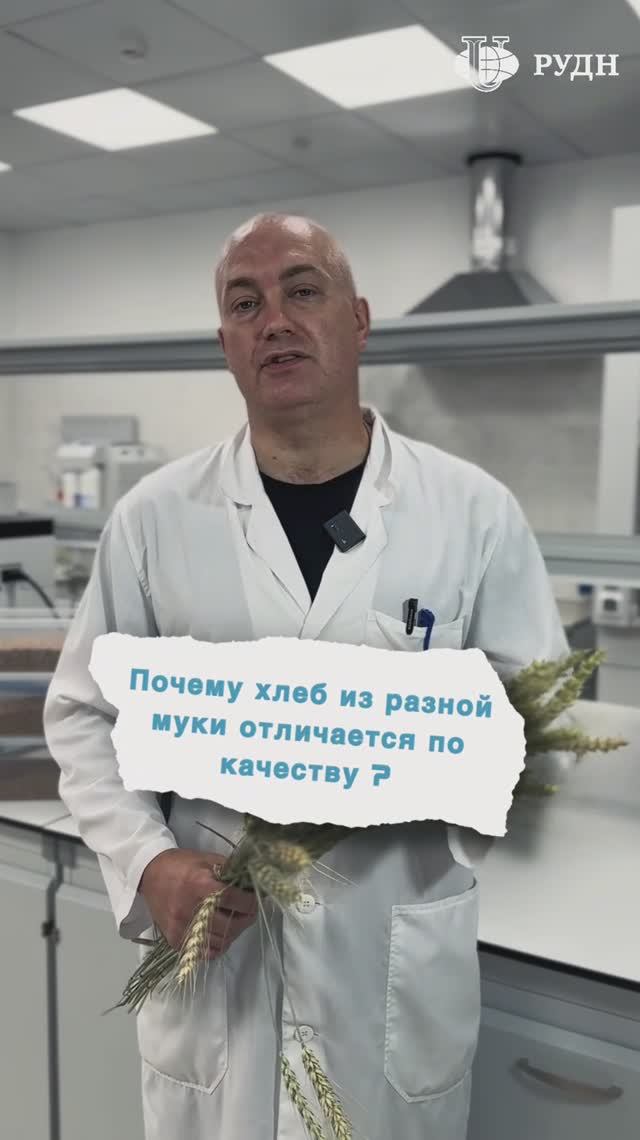 Почему хлеб отличается по качеству? Отвечает преподаватель АТИ РУДН смотреть онлайн