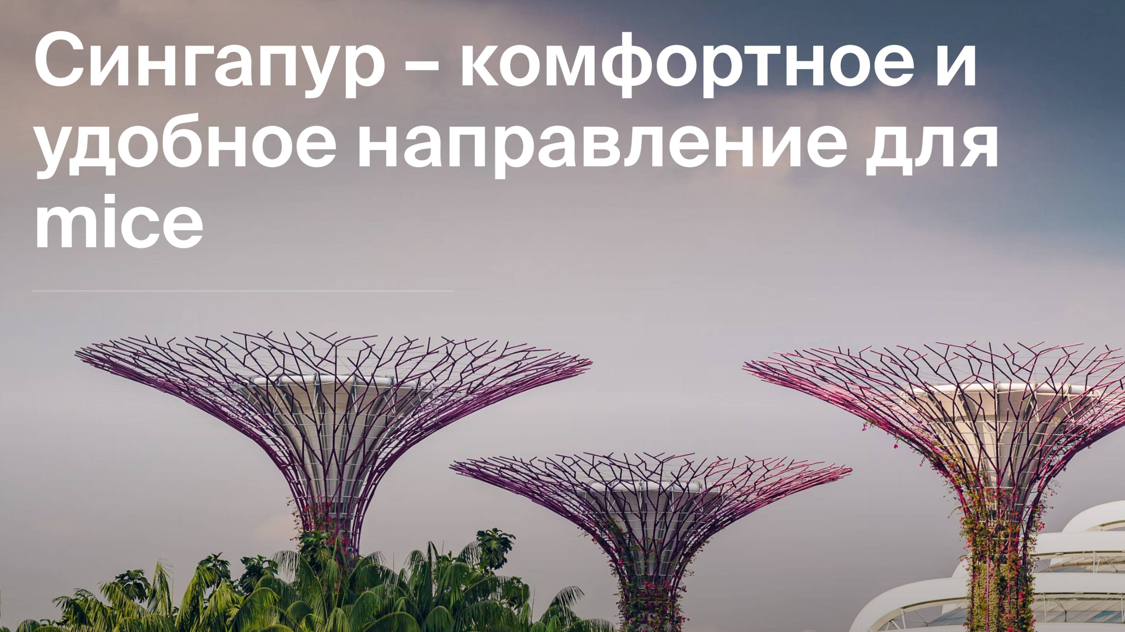 Сингапур – это маленькая страна с большими возможностями для MICE