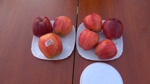 Яблоня ТОП РЕД (ДЕЛИШЕС)