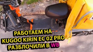 Разблокировали в Wildberries Работаем Курьером в Доставке на Kugoo Kirin EC 02 Pro