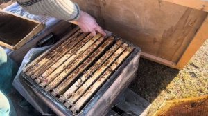 Метод Сергея Гопка на 70 семей!!!