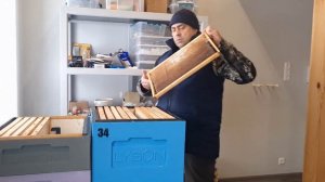 Технология содержания пчел на 1.5 корпуса дадан на 10 ра?