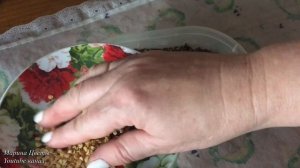 ПЕРЕЦ В КИПЯТКЕ !!! ЭКСПЕРИМЕНТ ЭТОГО ГОДА/ Посев семян